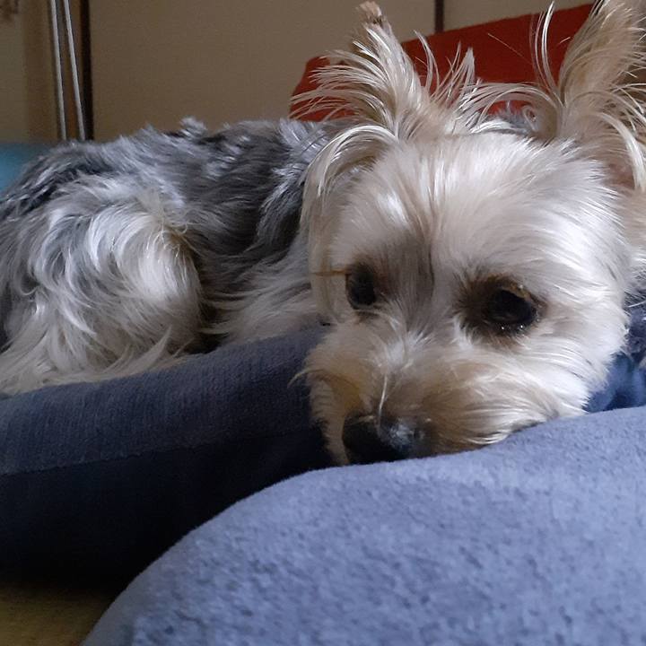 Bf342faf 857f 4da6 8790 4d13333d1db0 1593165471461