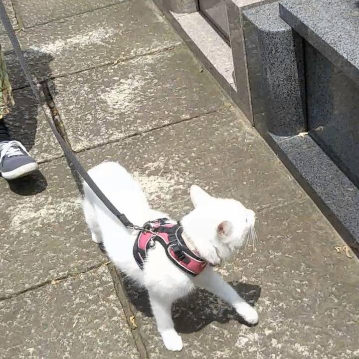 Bf34317f bbd8 4b60 b2a4 bf012bfca2fd 1627793254084