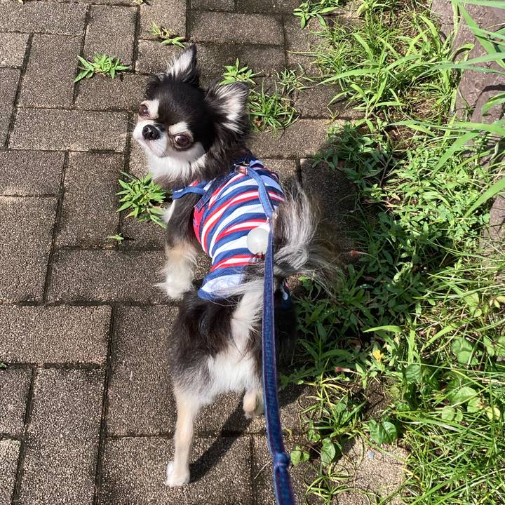 Bf34858e 7ee0 451c aaef 7a8964cb2385 1719072447324