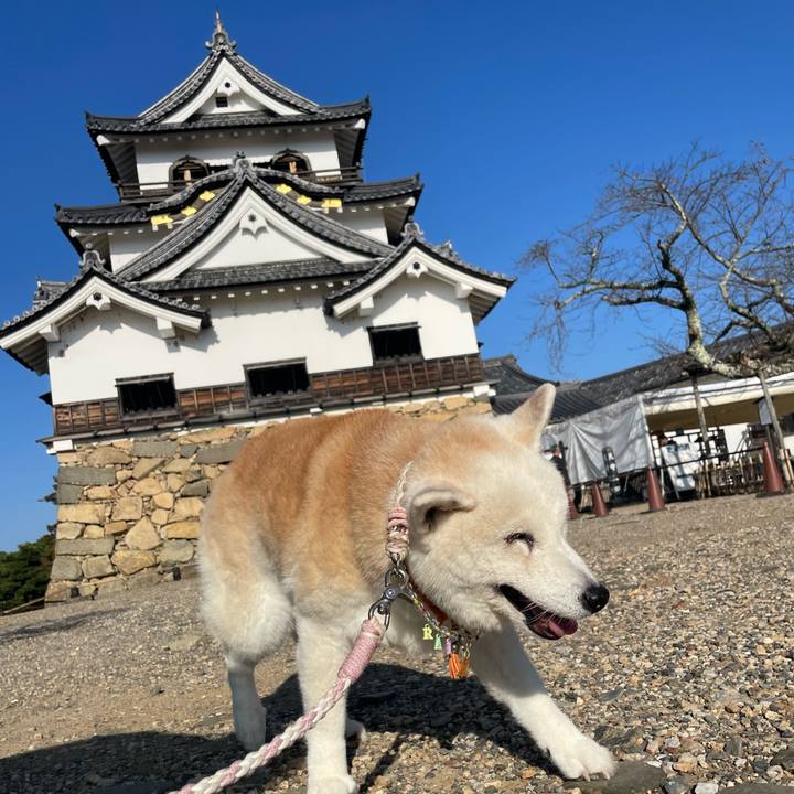 Bf34c7b9 5332 43d1 a9c0 f9f99d63f716 1730719241106