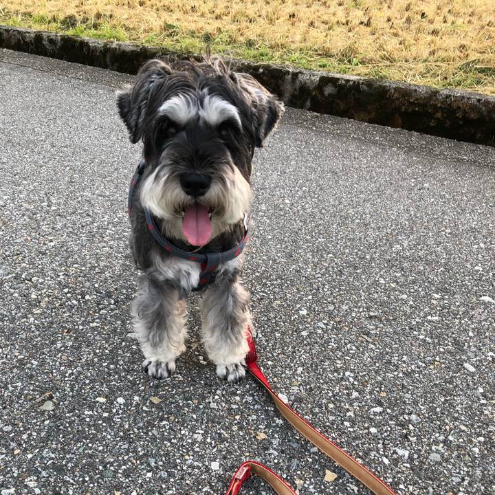 Bf34cc98 9f49 487c b41e 04b059103f1f 1663202745698