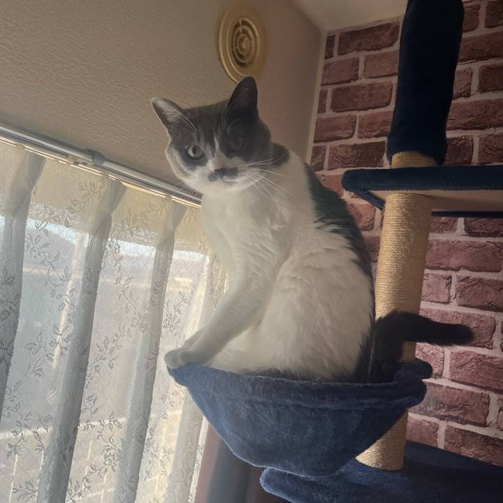 Bf34e187 4ee9 4003 abeb 4c79491961c7 1677364083115