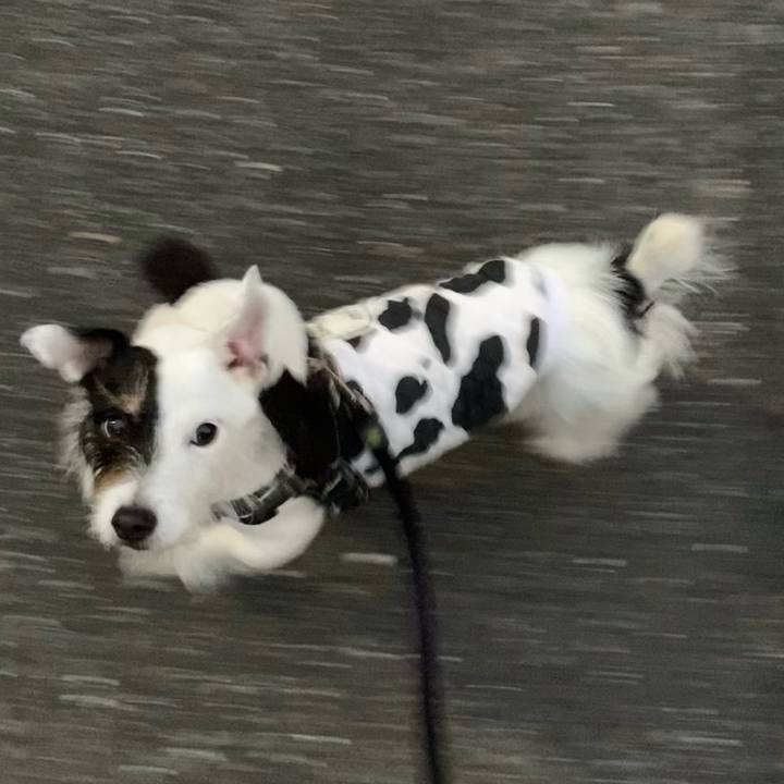 Bf34f4ab 8477 4b23 a1bc 810bd00b063a 1671626077906