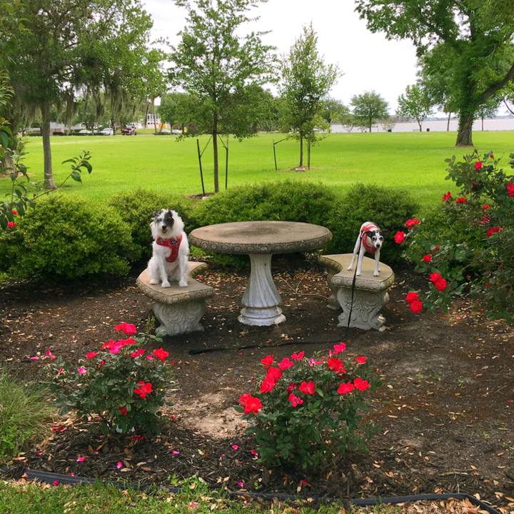 Bf34fa98 dfdb 492b ba3c b983058207d7 1555451533729