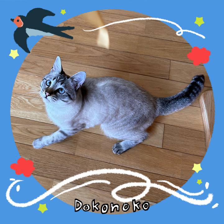 Bf356d7a db23 452f aa77 ccd508aec561 1779539849645