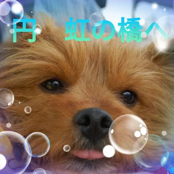 Bf35726d b55e 402c a09c 6e1db8062d45 1654221082926