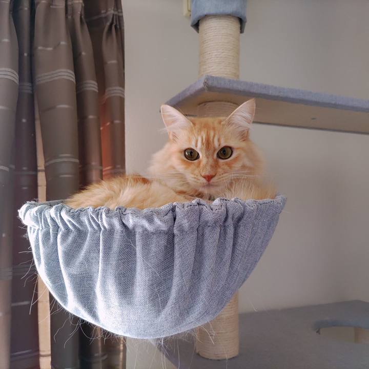 Bf3588dd ce34 4ad9 bd60 d6d2b8eaa9e9 1698717997069