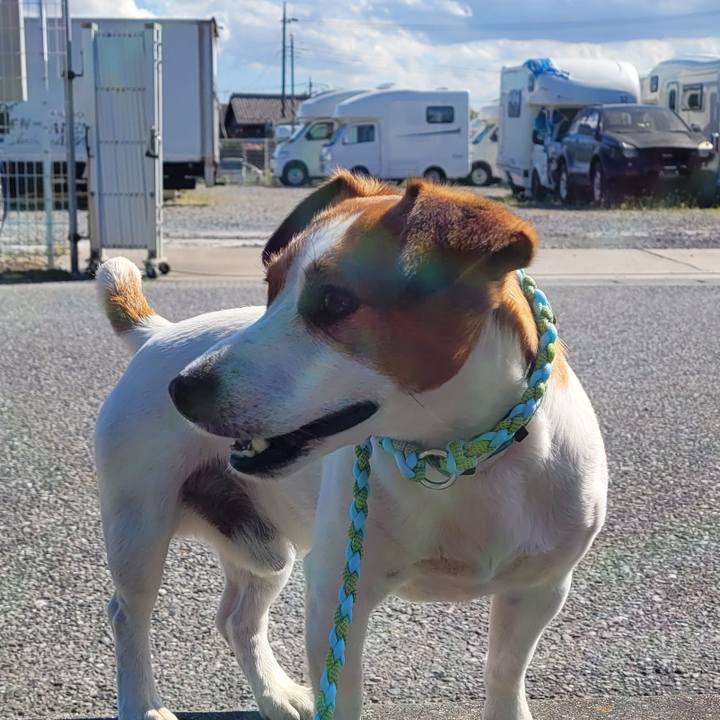 Bf35a04f 2b2b 49df 9f4c 5d1767f167d7 1716971340481