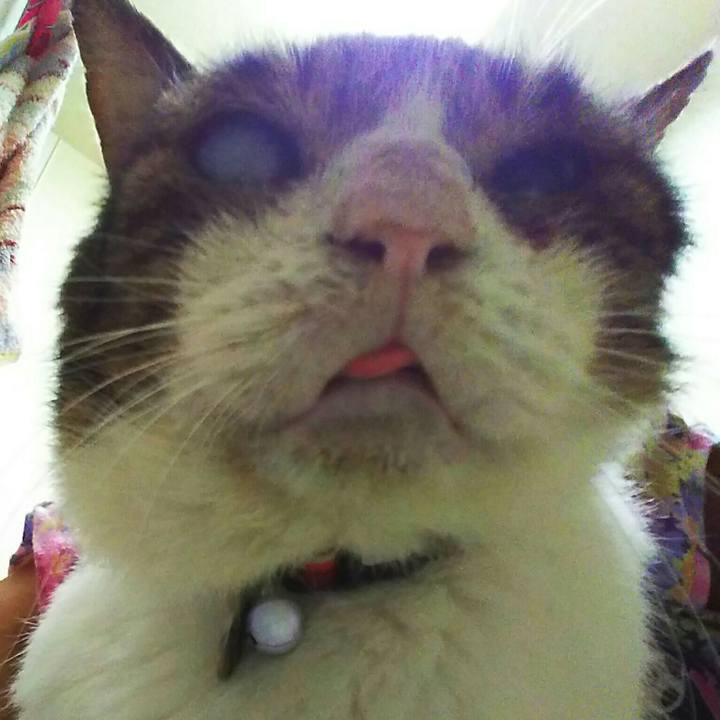 Bf35fbb6 39fc 4a39 878c d1f5b734b61e 1565862532156