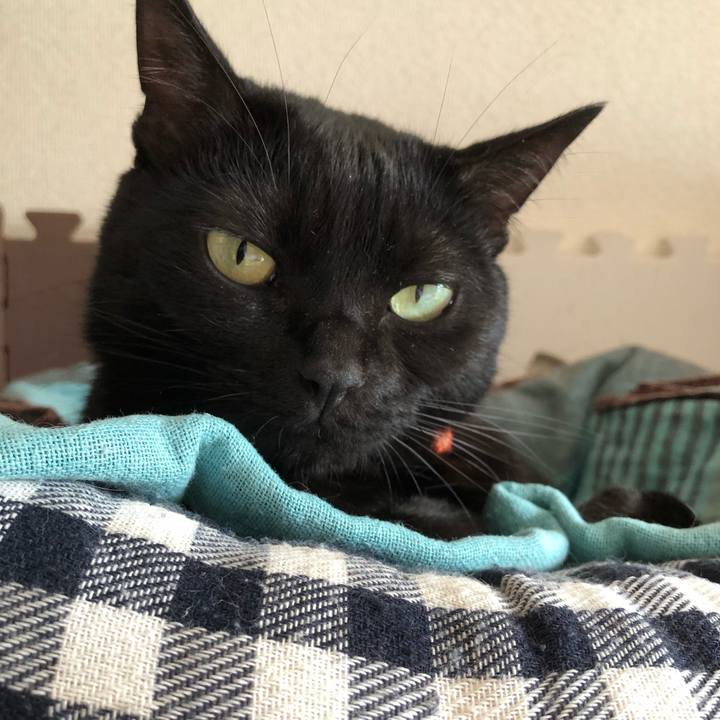 Bf360156 0bc6 460e 9253 973334d658cb 1563334539325