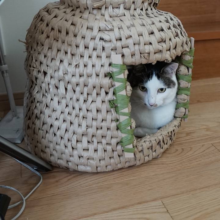 Bf360b7d 6c2a 43df ab1c b6130a4018c4 1561540523949