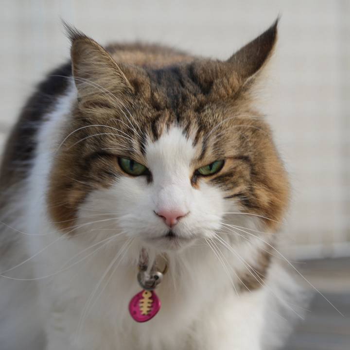 Bf364e63 f260 414d b0ee f5fa1c75b3e5 1706593788323