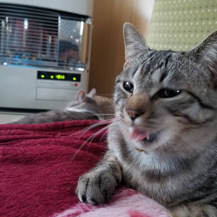 Bf36d244 086f 44d2 9dcb b5d37edb6219 1677042316234