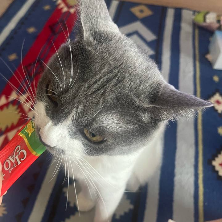 Bf373e4d 556b 4b2b bfce 8ea08c03c88c 1627028420848