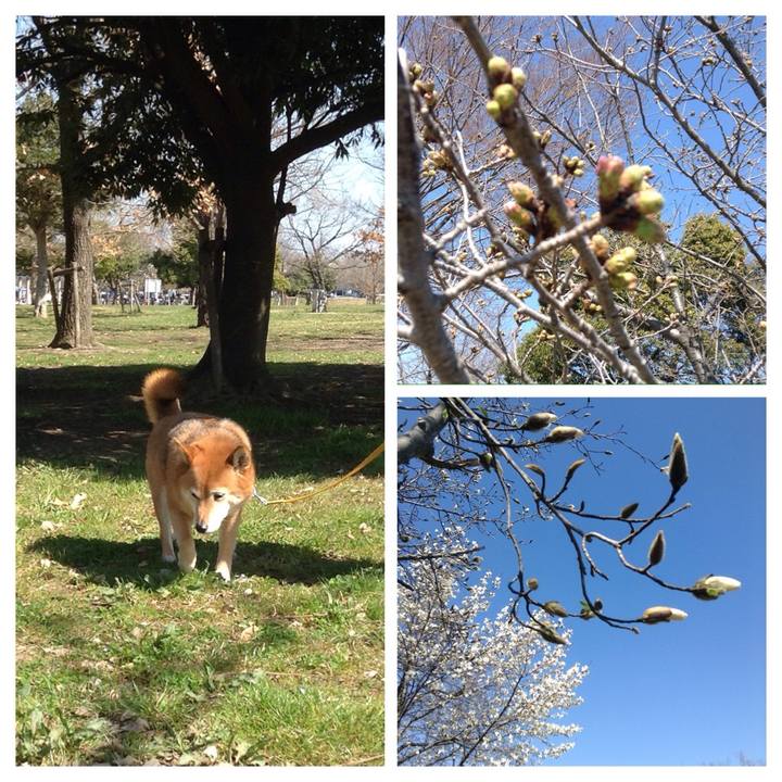 Bf3772f6 01a2 4a3c 9417 a9f48f2528e2 1521261008493