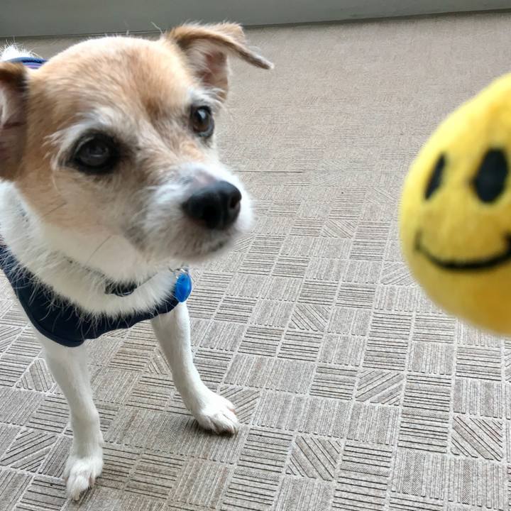 Bf3790f3 e05c 4d3f af69 bb6bc47e18f0 1661125851278