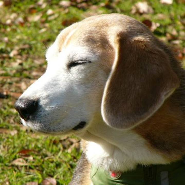 Bf37946f 3bd7 4a8b be7e 9282dac3a7cd 1671668719049