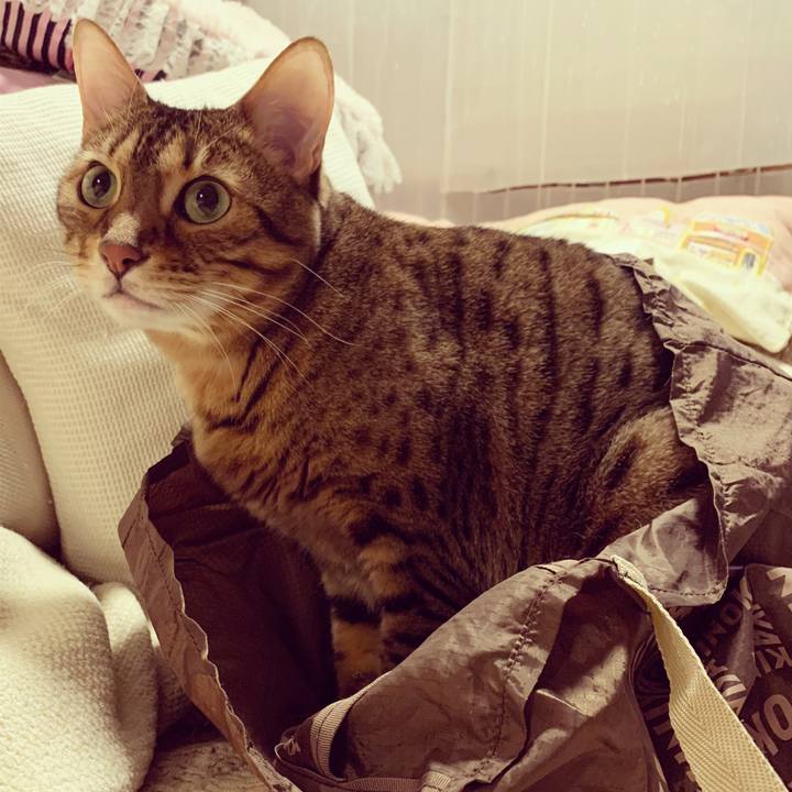 Bf37e6c0 e200 482e 8cda 2e2e2e48ea93 1582161351173