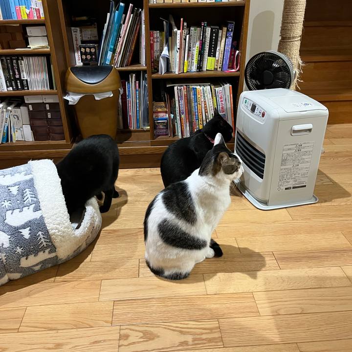 Bf380333 45d3 4f59 856a a89d88bd459c 1638525675185