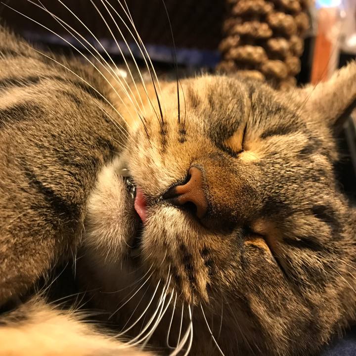 Bf38037c c7f5 46f1 82ff 079b3d5d139f 1511093068324