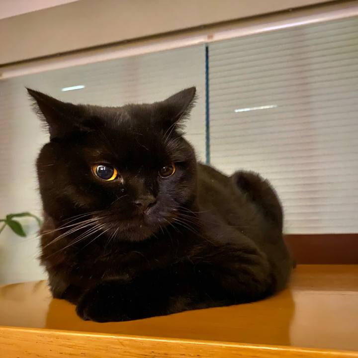 Bf381446 d2fc 4a90 b1eb 8d0ee623dafd 1693739814868