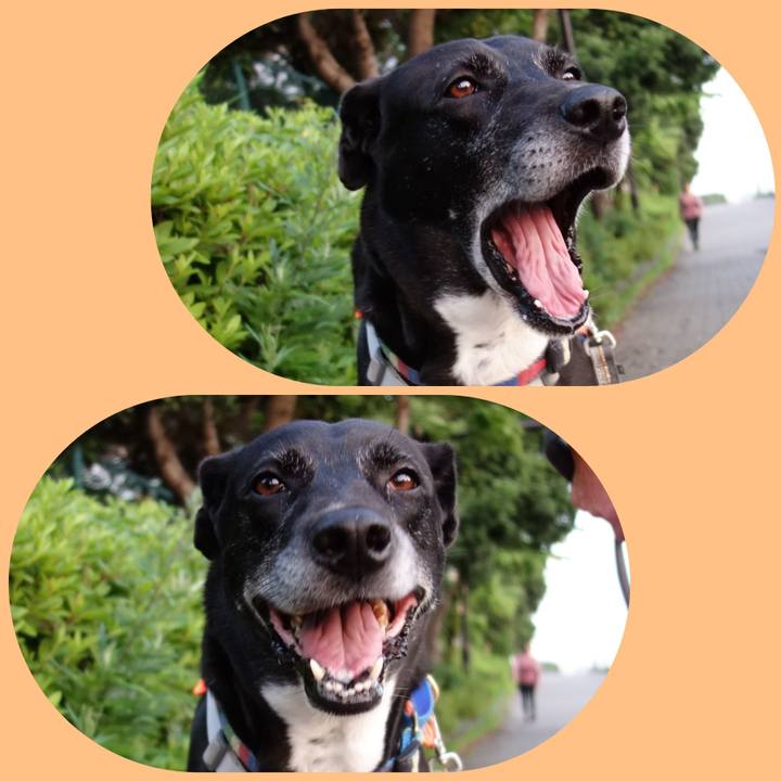 Bf3833d0 0878 486d 94a2 d6217b532dcb 1718276588575