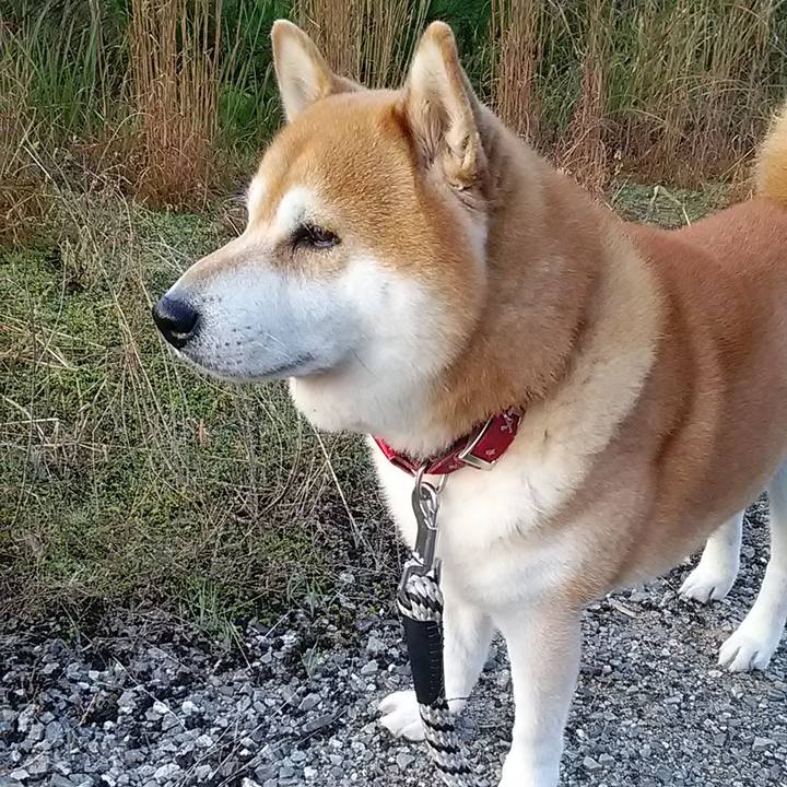 Bf3857db 3854 4e4c 847b 7171feb261a1 1667867653746