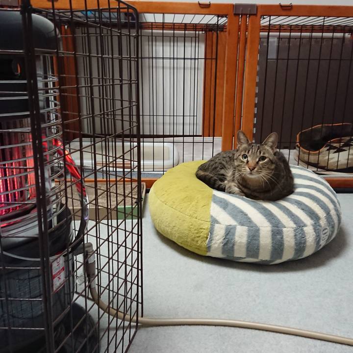 Bf38b110 9796 4bc8 8123 a9842c3e08fe 1574500858424