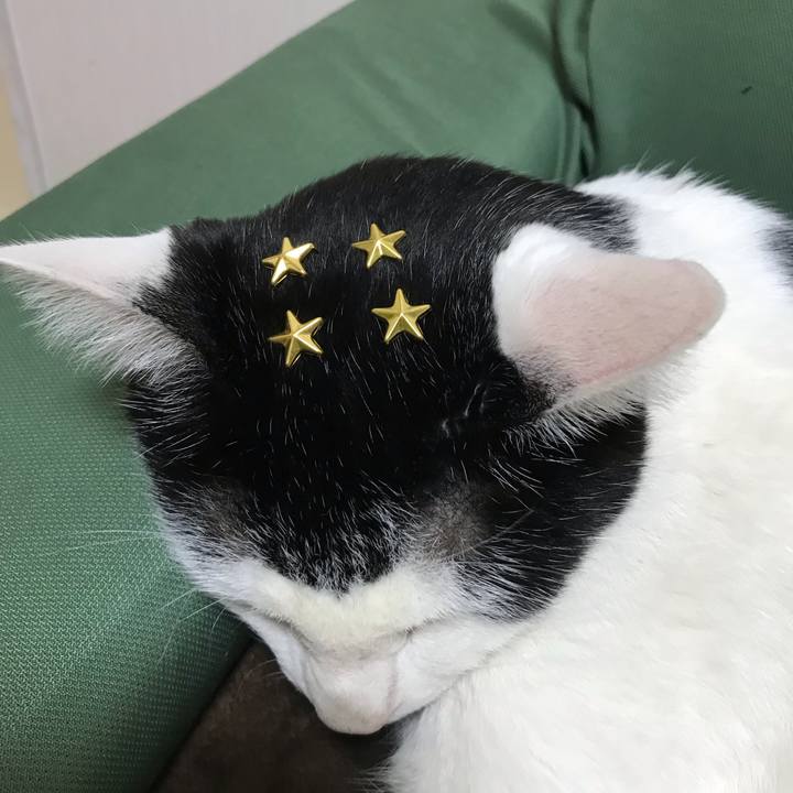 Bf38b221 42e1 42ae a098 f72441057fd3 1552314149040