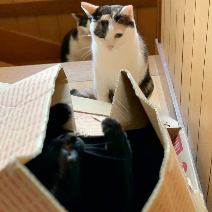 Bf38dca7 c13d 4685 92c1 b5f095a44746 1539916498674