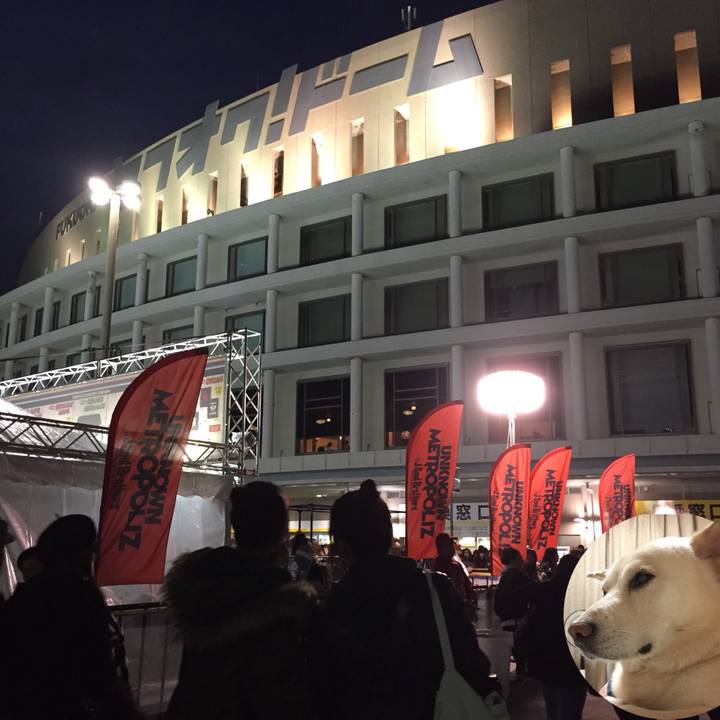 Bf38dfb0 4959 4954 86a7 701d12904d21 1513355199922