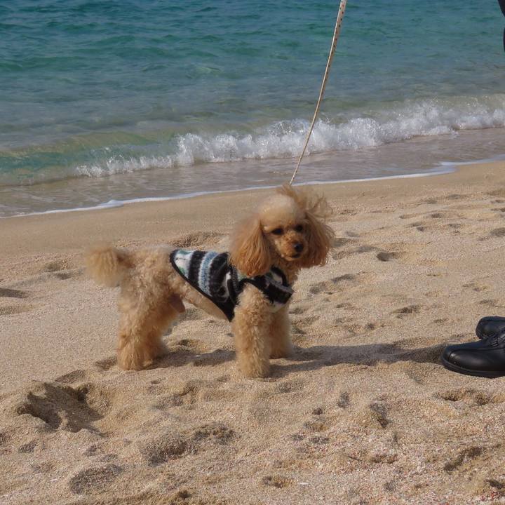 Bf39019d 6ad3 412b be06 2e1ab202becc 1578008244781