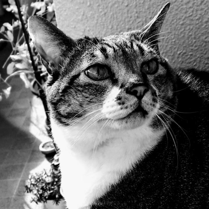 Bf3968b4 4c4f 4939 b70e bf498b504afa 1578717801515