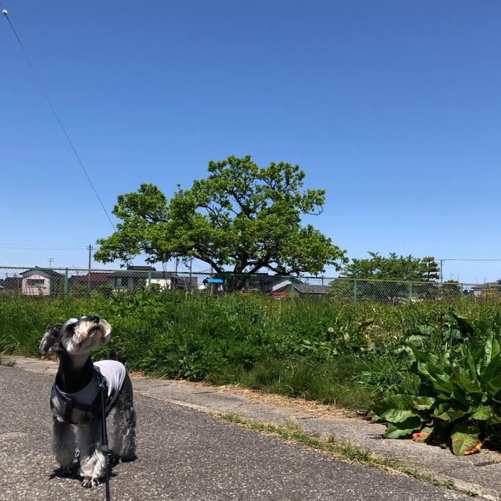 Bf3982d5 f139 4fa7 bead 69464219780e 1651892378179