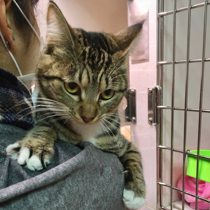 Bf3987f9 9ad7 4874 989c a318acc3ac66 1578480624566