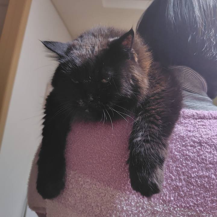 Bf398c25 7c83 4ec1 9cf9 98ac7e1c34ab 1775132441259