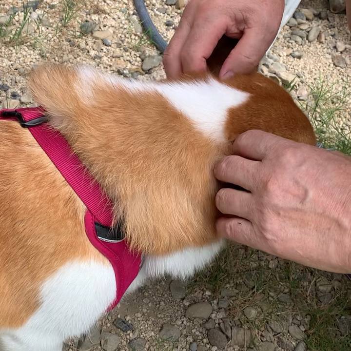 Bf399fc8 feba 4e0d 9916 f6e41c64c9f8 1662694814909