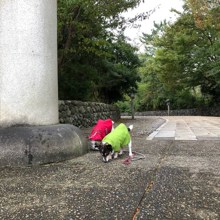 Bf39c279 4f23 444f 875d 0b50a03d3eea 1571010349548