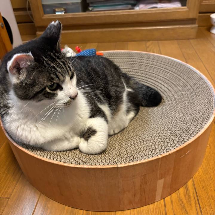 Bf3a1ecd 2b27 4a15 aa3d 52fe20efeb7a 1748769320672