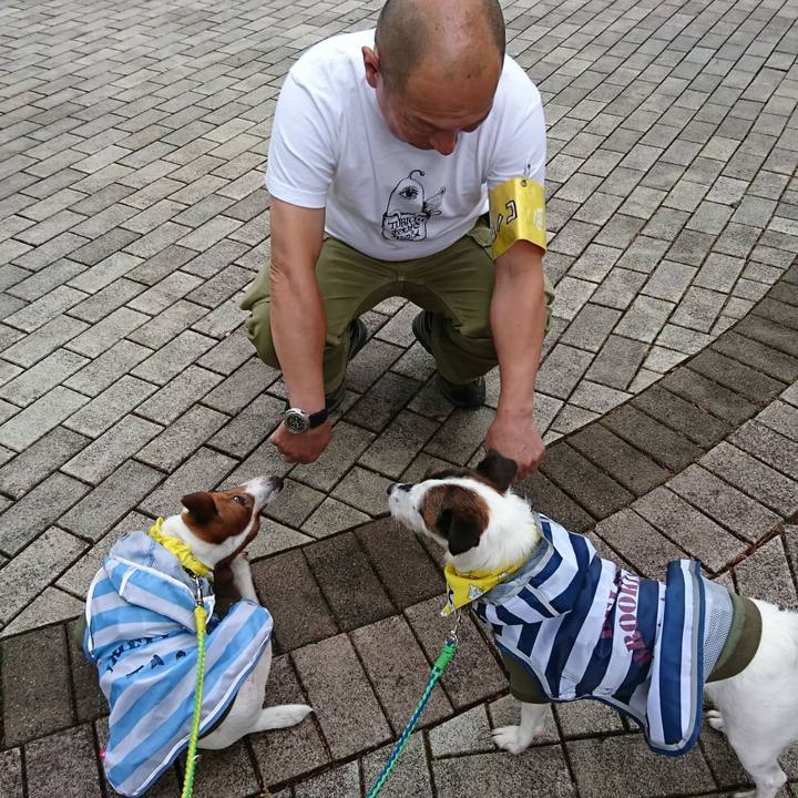 Bf3a26fa b583 4b28 804e fc7f5ed96f1b 1560047983990