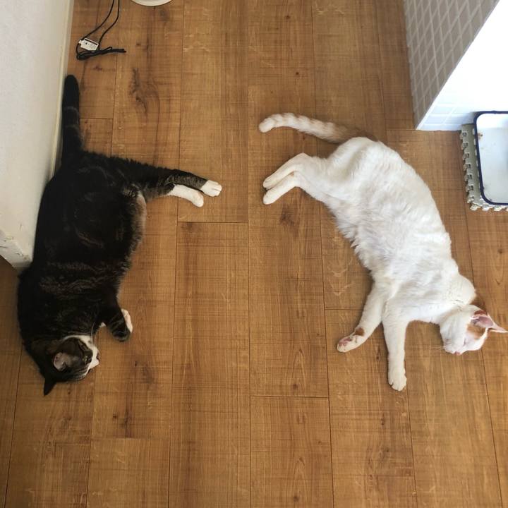 Bf3a405a bbdb 4df0 8a3c d13f7ff2971c 1666224298477