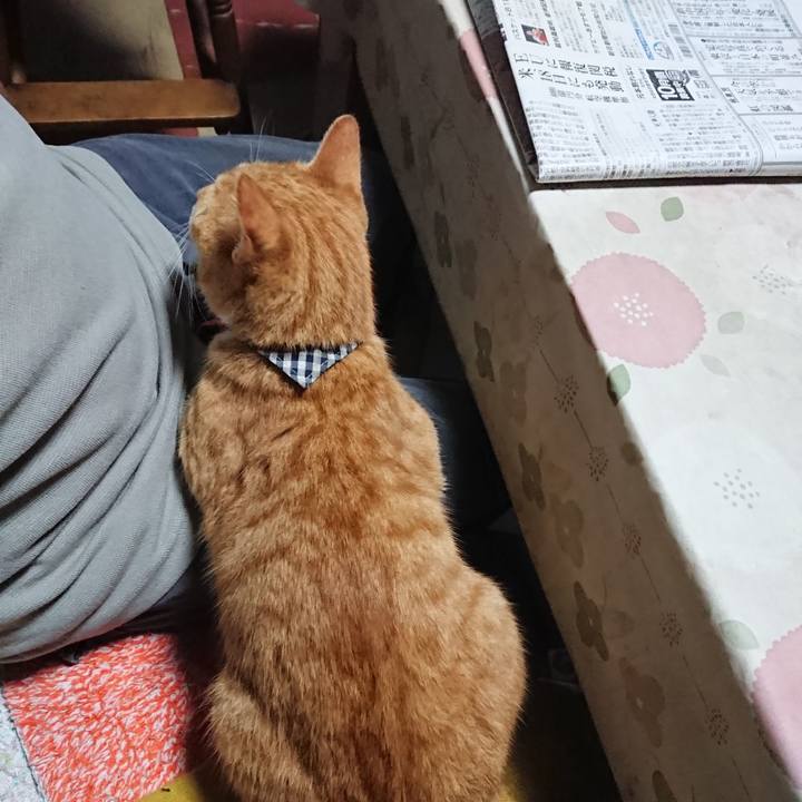 Bf3a4ea8 8ae1 4111 bf82 1435850319c5 1570156443701