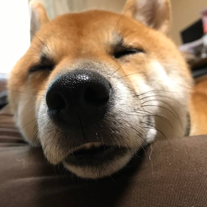 Bf3a4ebf 147a 42b3 9ef3 734400fdc020 1508581392258