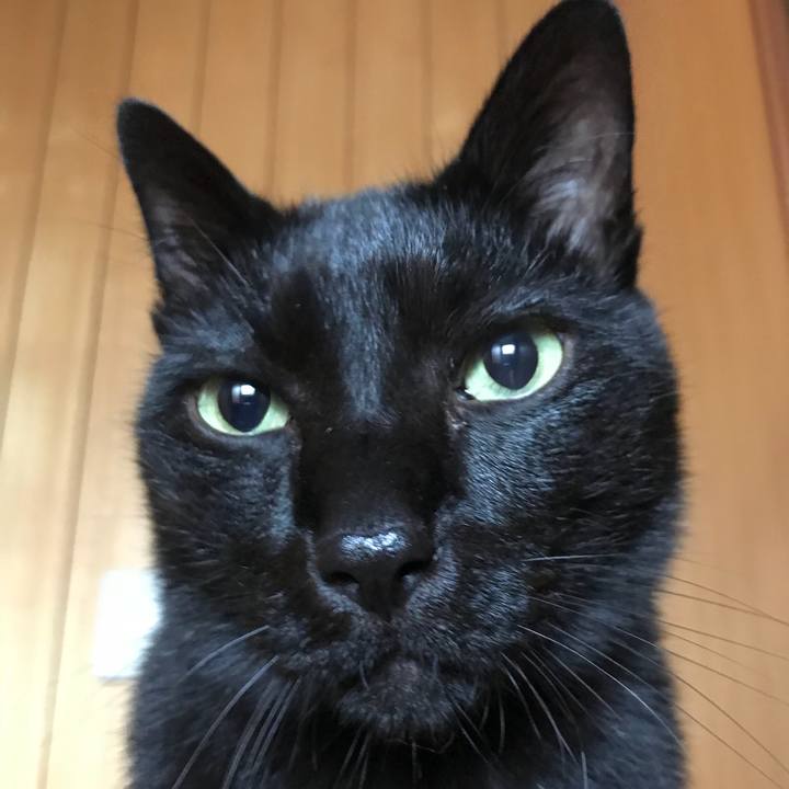 Bf3a88f8 de61 455d aac1 9c22926a97b3 1508463130749