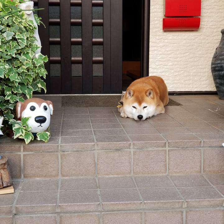 Bf3aa147 b074 4176 9102 a500ec765e97 1589707045822