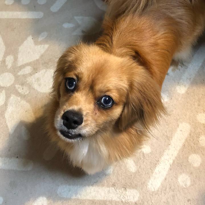 Bf3aa6e7 cb12 449c a3b2 6dfdf83116ae 1531344864512