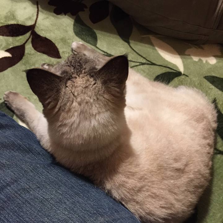 Bf3aba54 5c11 4bac 909c 933a2689a49a 1580642884024