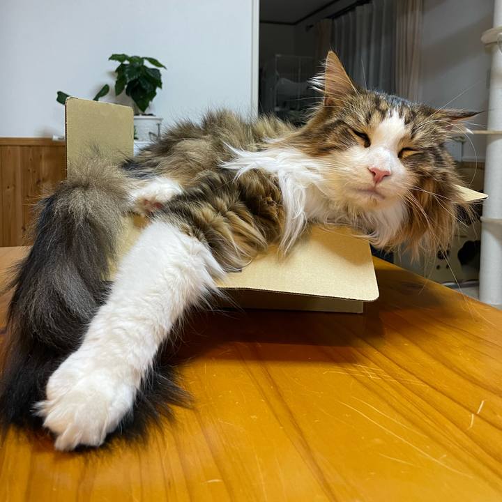 Bf3ad2c7 962e 472e 9c8f 618e7f8a4d25 1673002167116