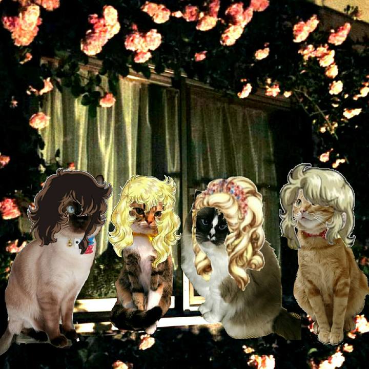 Bf3af247 0ad6 41c7 af98 7718ace9948c 1527138613189