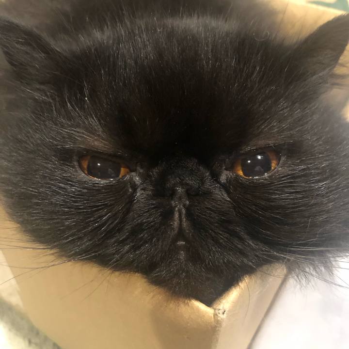 Bf3b2af2 d927 4214 bdb3 4523bcc5ee08 1707052625393